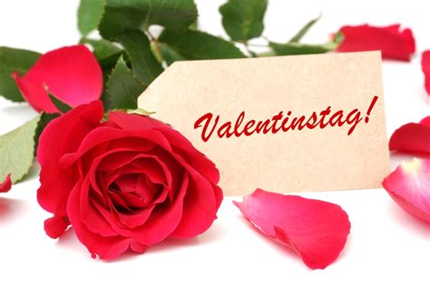 15.809 kostenlose schöne Valentinstags